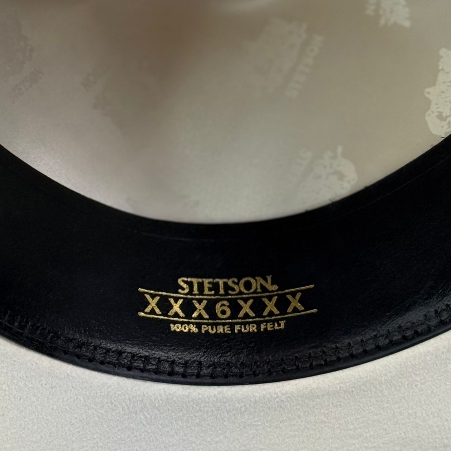 STETSON PALACIO WHITE 6X