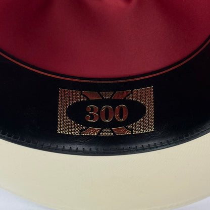 RANCHER 300X