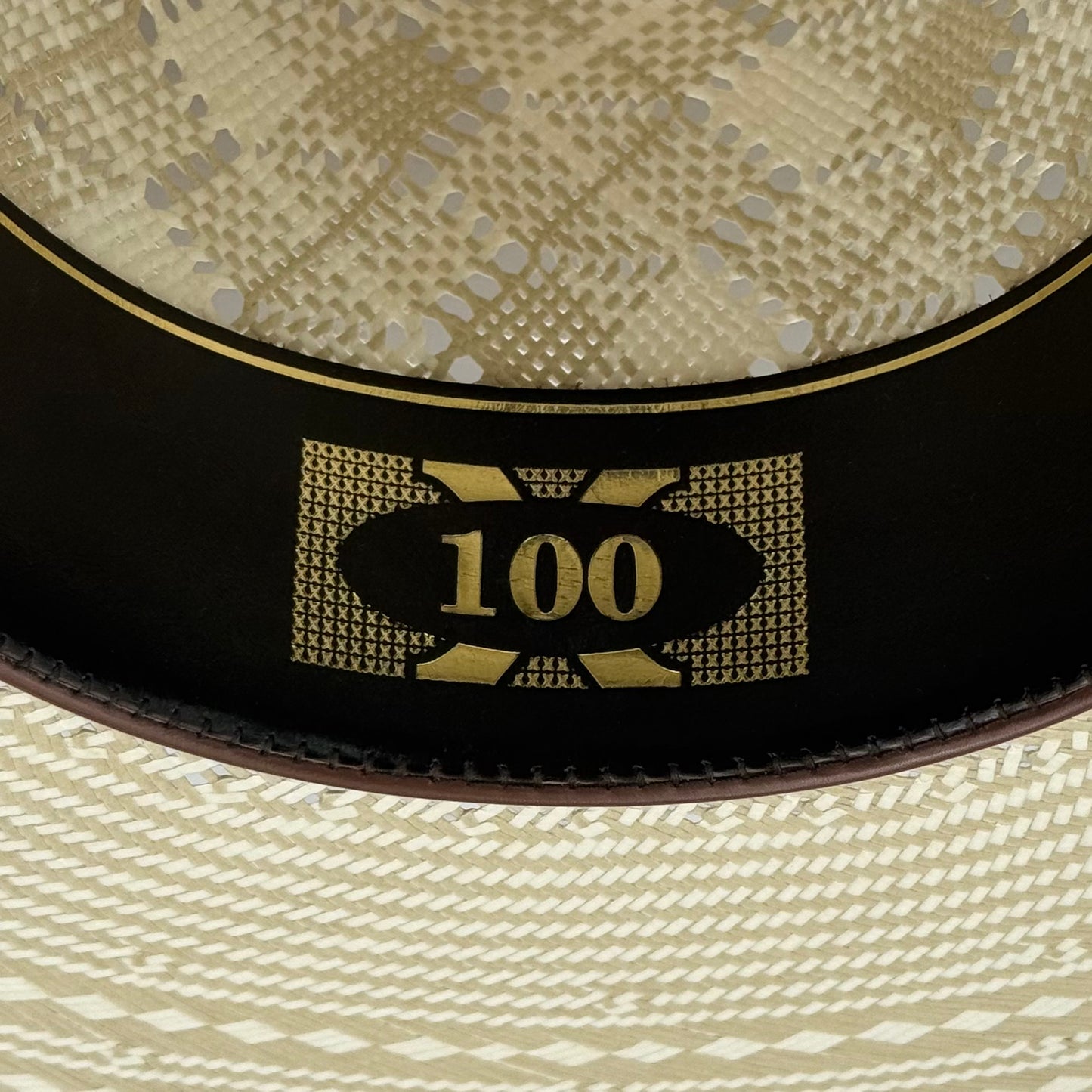 MAVERICK PANAL 100X