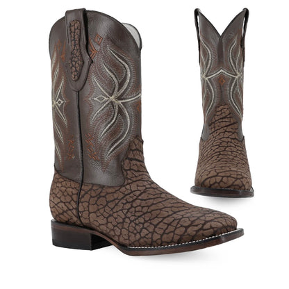 BULLDOG CUELLO DE TORO ARENA