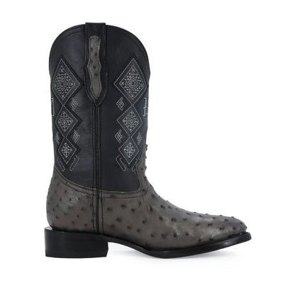 OVAL AVESTRUS GRIS