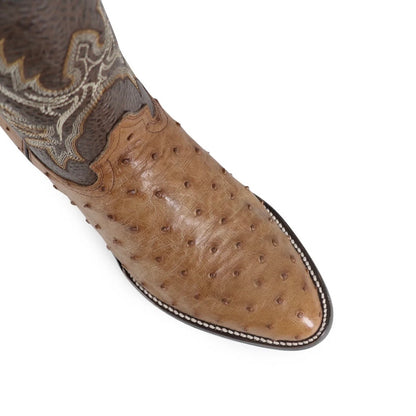 OVAL AVESTRUZ COÑAC