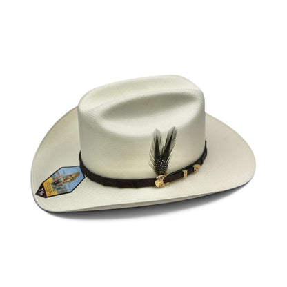 STETSON EVILLA DE ORO 1,000X ALA 9
