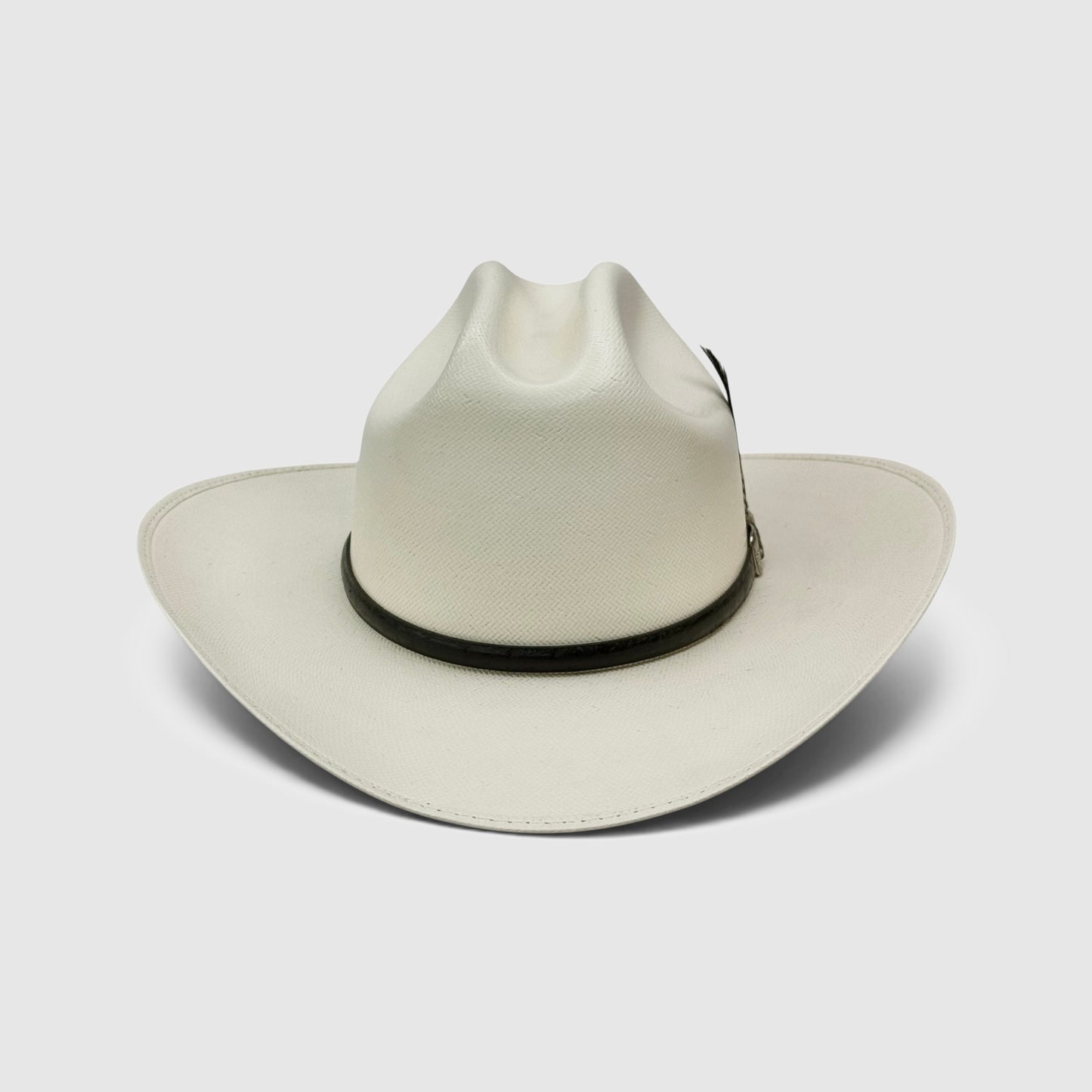 RANCHER 100X